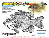 Color-a-Fish (English) 50 custom books