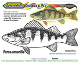 Color-a-Fish (Bilingual) 250 custom books