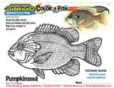 Color-a-Fish (English) 250 custom books
